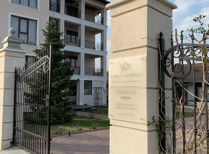 Мини-отель Hanul Andritei